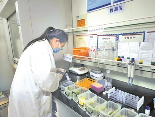 無錫農(nóng)貿(mào)市場實(shí)現(xiàn)快檢全覆蓋，上半年檢測90多萬批次合格率超99%