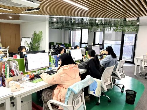 生鮮私域行業(yè)服務(wù)新范本 213集市“春節(jié)不打烊”背后的用戶(hù)思維與信息咨詢(xún)服務(wù)